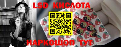 стаф Кинель