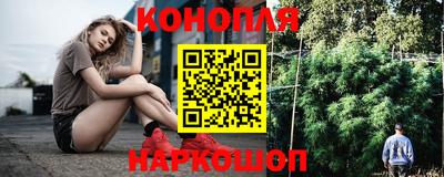 стаф Кинель