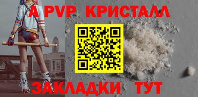 стаф Кинель