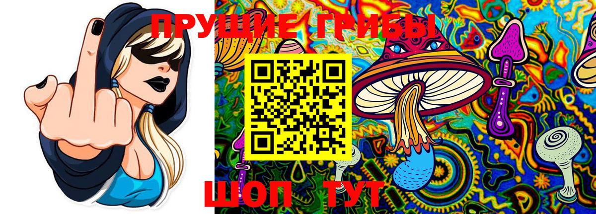 Псилоцибиновые грибы Psilocybe Кстово